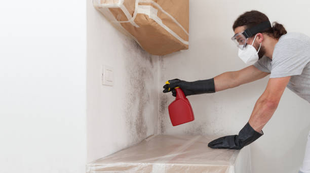 Professional Attic Mold Removal technician working in Pentwater, MI