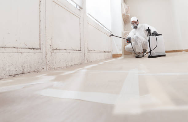 24/7 Emergency Attic Mold Removal experts in Pentwater, MI