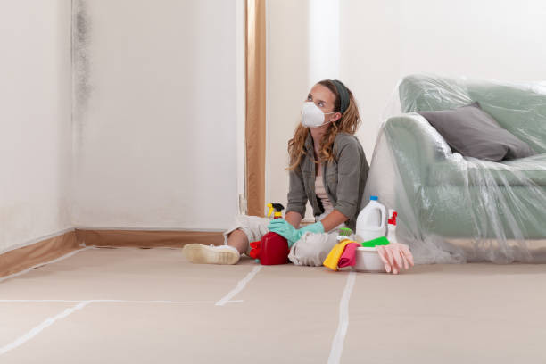 Reliable Attic Mold Removal contractor in Pentwater, MI by WQB Mold Removal